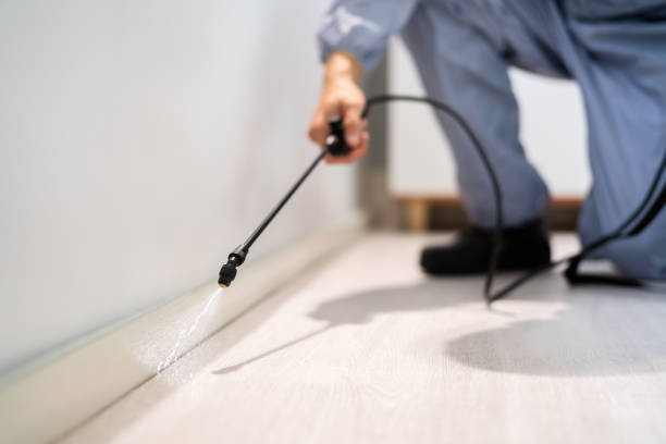 Licensed Mosquito Control service in Suamico, WI - Show Me Pest Control