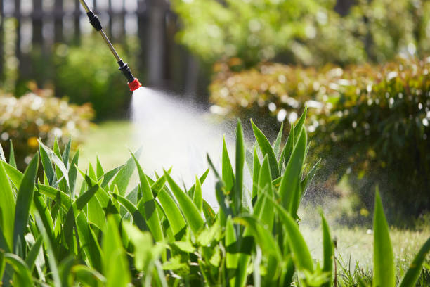 24/7 Emergency Mosquito Control experts in Suamico, WI